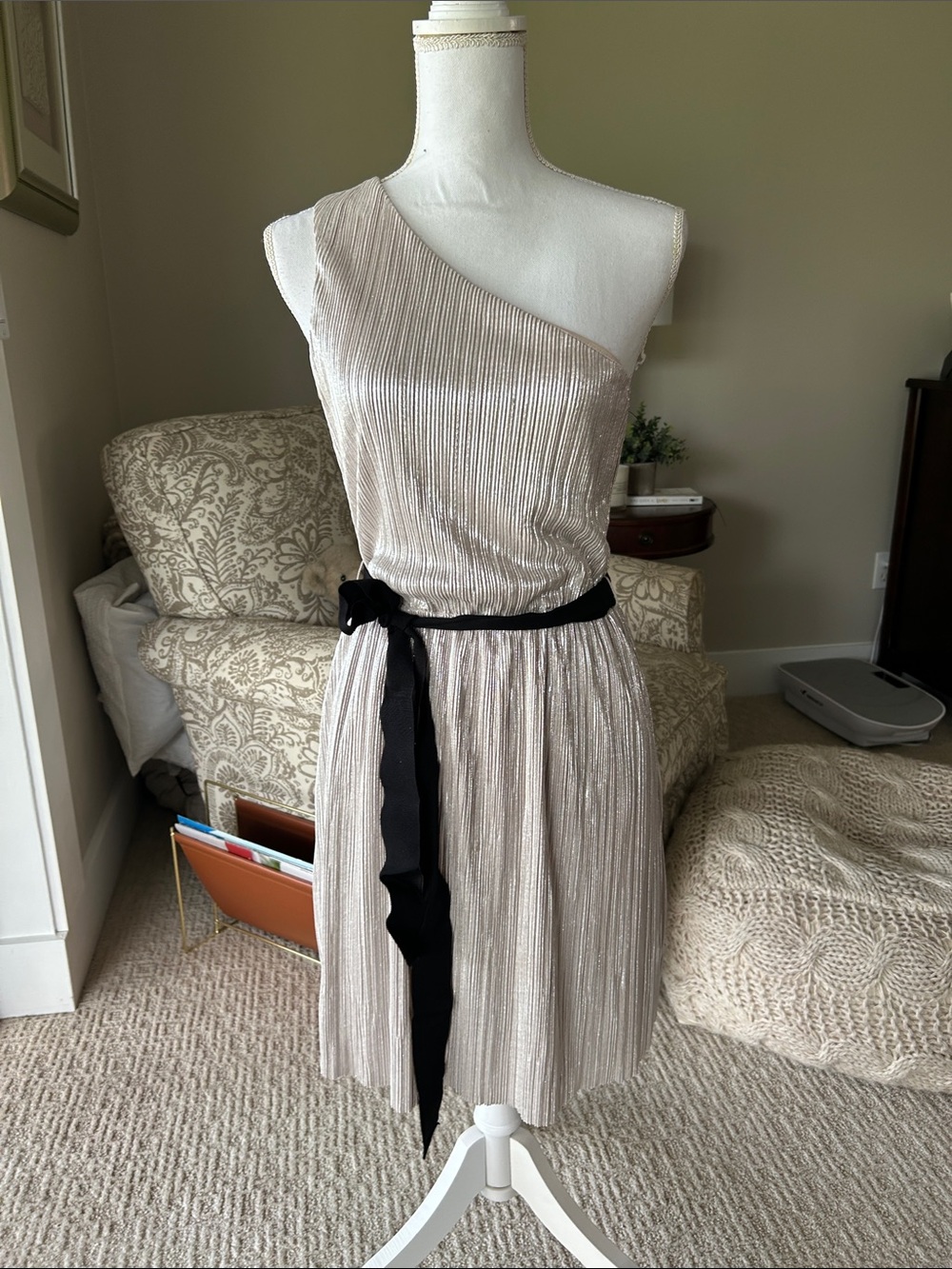 Express One-Shoulder Metallic Pleated Dress in Champagne with Black Sash